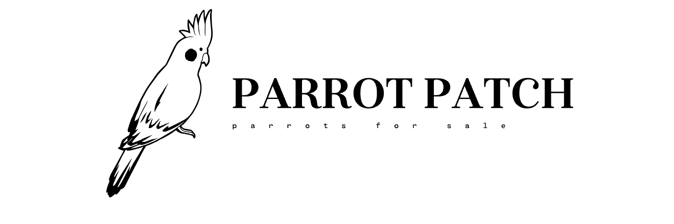 Parrots for sale UK