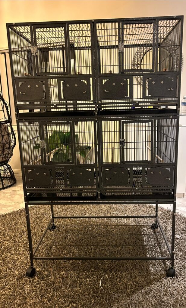 Parrot Bird Cages for Sale in the UK
