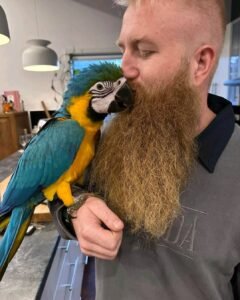 Bond with Feathered Intelligence